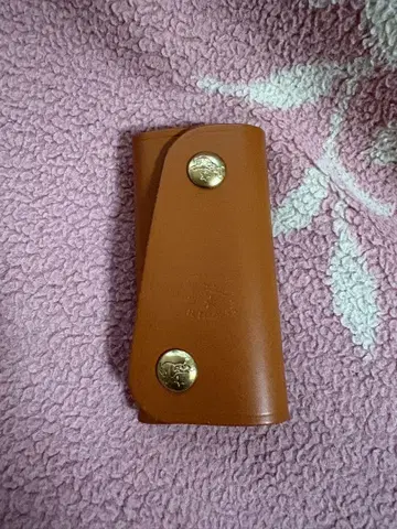 IL BISONTE 키케이스
