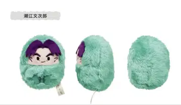 미사용 새상품 닌자 타마 란타로 싸개 타피누이 vol.3 시오에