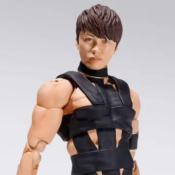 S.H.Figuarts T.M.Revolution(니시카와 타카노리)