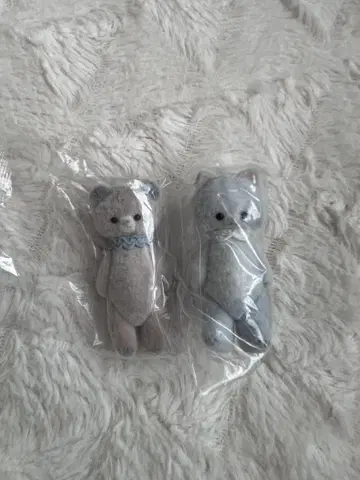 모리 에혼 가챠 고양이랑 곰