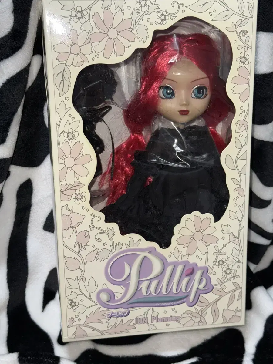 Pullip Corniche