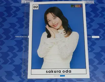 모닝구 무스메. '25 오다 사쿠라 컬렉션 핑업 포스터