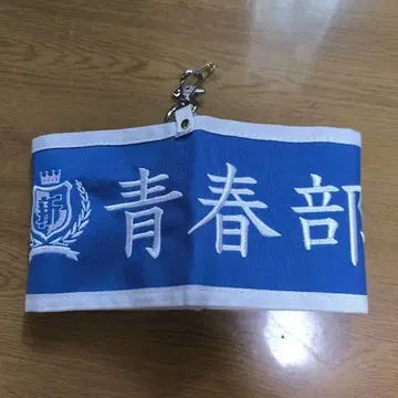 새로운 학교의 리더들 팔찌