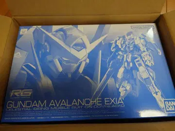 RG 건담 AVALANCHE EXIA 1/144