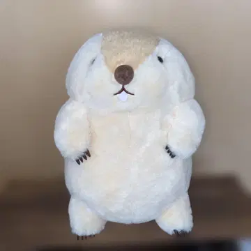 마모트의 모토토 봉제 인형
