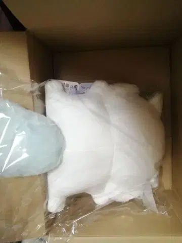 모몽가 가득 쿠지 B상