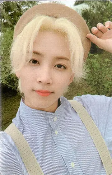 SEVENTEEN An Ode JEONGHAN 트레이딩 카드 그린