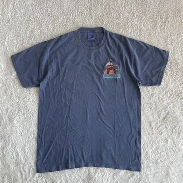 Authentic Pigment 오센틱 피그먼트 티셔츠 BG10