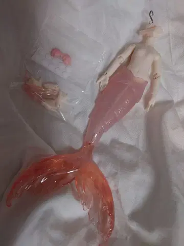 앙티유 조수의 비어 미광 인어 바디만