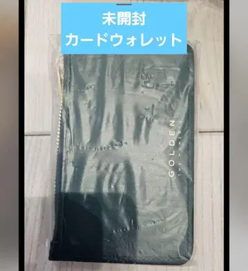 GOLDEN 정국 CARD WALLET 미개봉 카드 지갑