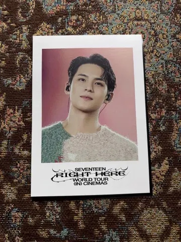 SEVENTEEN 민규 입장 혜택