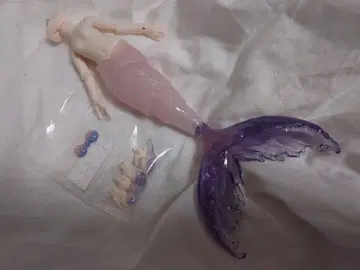 안티유 조수의 비밀어 새벽 인어 바디만