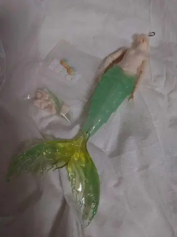 안티유 조수의 비밀어 잎색의 인어 바디만