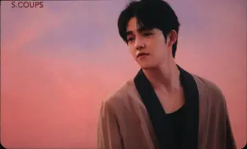 SEVENTEEN 춤추는 꽃잎 S.COUPS 트레이딩 카드 Pink