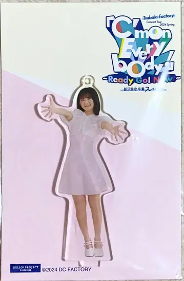이시이 이즈미 깃털 솔로 아크릴 스탠드 키링 츠바키 팩토리