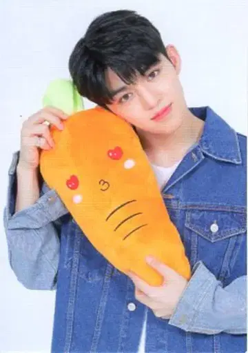 SEVENTEEN 2019 HARU S.COUPS 트레이딩 카드 0102