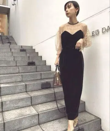 아메리 빈티지 튤 슬리브 타이트 드레스