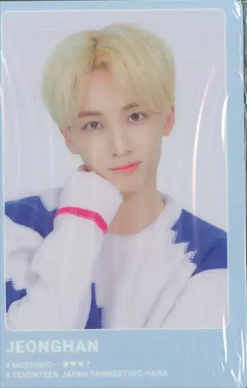 SEVENTEEN JEONGHAN HANA 모시죠?
