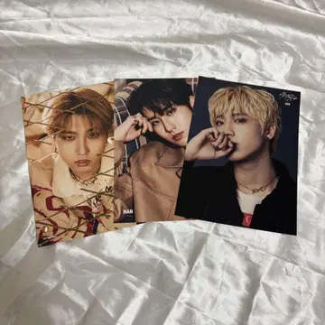 straykids 한 타워 레코드 세트