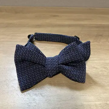 GIERRE MILANO 네이비 나비 넥타이