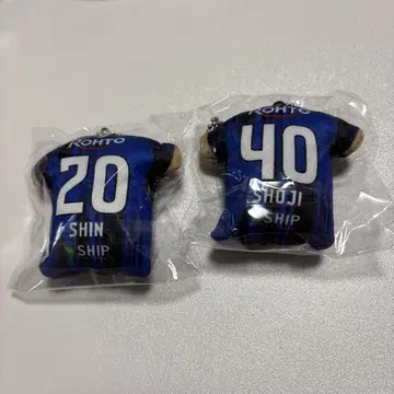 감바 오사카 나카타니 신스케, 가라산 쇼 쿠션 키링 세트