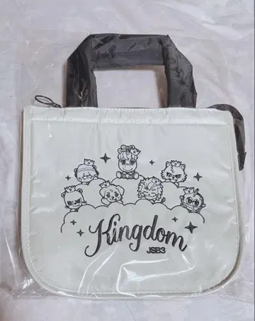 3대째 캐릭터 보냉 백