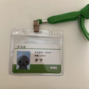 교육 방송 사원증 타마 파울 박사