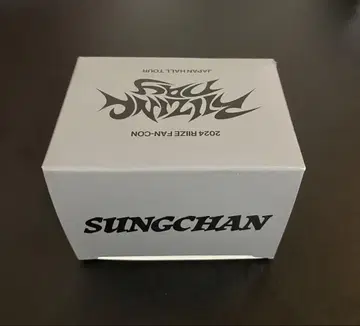 RllZE 라이즈 응원봉 액세서리 미개봉 새상품 성찬