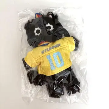 wayv nct 텐 스턴너 봉제 인형 카누레
