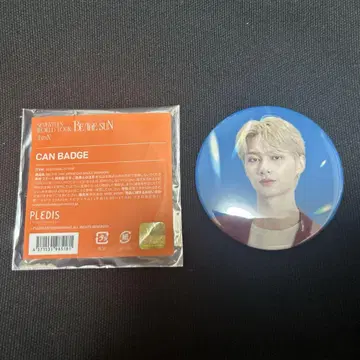 세븐틴 준