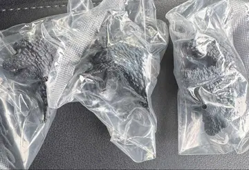 제일복권 고질라 대괴수열전 G G상 몬스터 헤드 마그넷 3종 세트