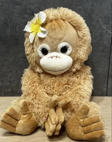 Babycoco 봉제 인형