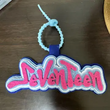 Seventeen 키링