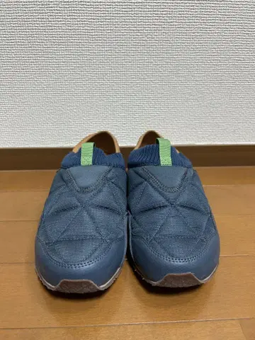 테바