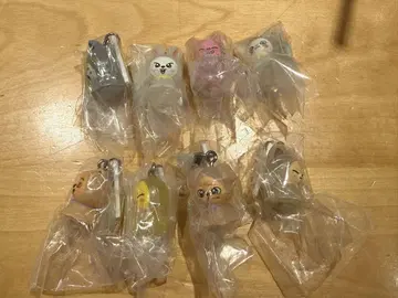 SKZOO 메지루시 가챠 컴플리트 세트