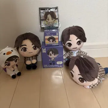 타이니 정국 세트