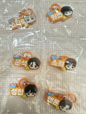RIIZE 푹신한 메지루시 액세서리