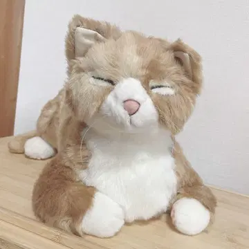 카도리 cuddly 고양이 리얼 봉제 인형 히네모스 브라운 브라운 일본제