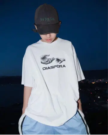 Diaspora Skateboards 티셔츠 그레이