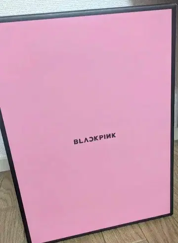 BLACKPINK 응원봉 케이스