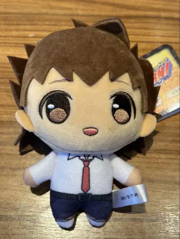 쁘츄슈! 가정교사 히트맨 리본! [사와다 츠나요시]