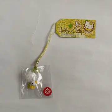 키티 네즈케 탄포포