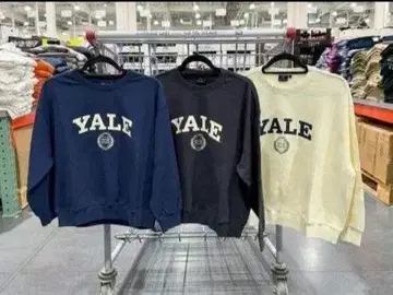 Yale University 로고 칼리지 맨투맨 트레이닝복