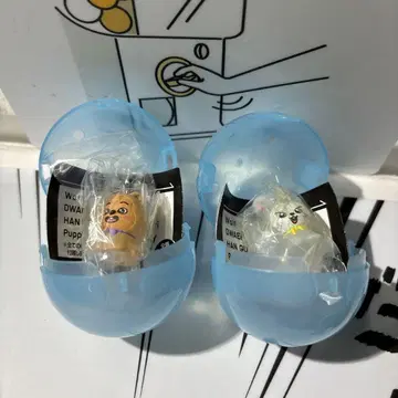 SKZOO 메지루시 액세서리 된장 세트 한 리노