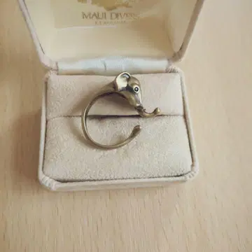 코끼리 반지 아프리카