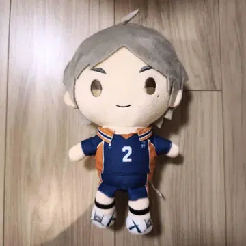 하이큐!! 스가와라 코시 무니구루미 봉제 인형