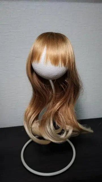 DD SD 가발