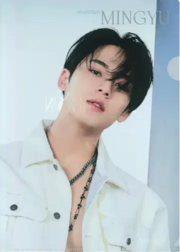 SEVENTEEN Face The Sun MINGYU 클리어 파일