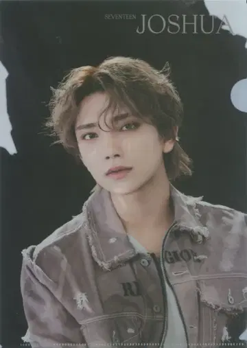 SEVENTEEN Face The Sun JOSHUA 클리어 파일