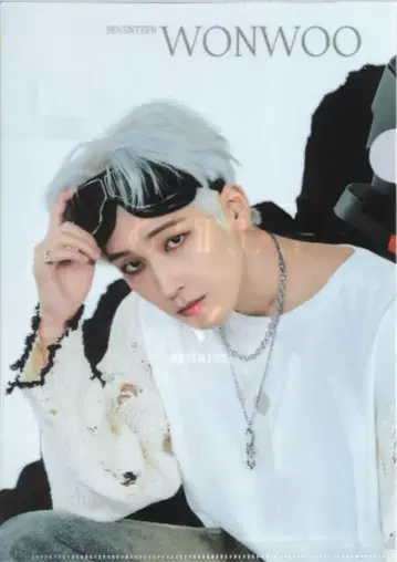 SEVENTEEN Face The Sun WONWOO 클리어 파일